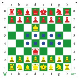 Self Adhesive Chess Demo Board